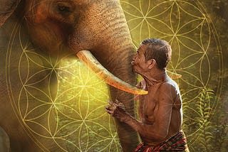 Non-violence (ahimsa) in Yoga