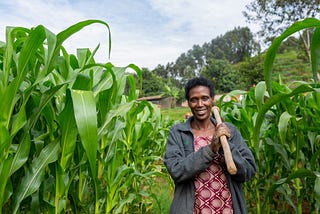 Seeds of solidarity: Rwanda’s refugees and local communities build ties and harvests
