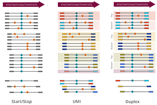 High-sensitivity solutions for liquid biopsy from NGS