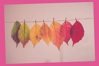 Embracing the Unknown: 4 Wisdom-Packed Quotes for Navigating Change.