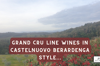 Premium Wines in Grand Cru style from Tuscany