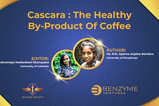 Cascara: The Healthy By-Product of Coffee