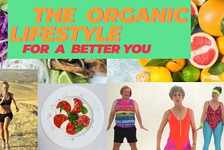 Healthy food ideas and people making exercises