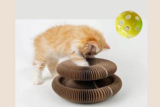 cat toy