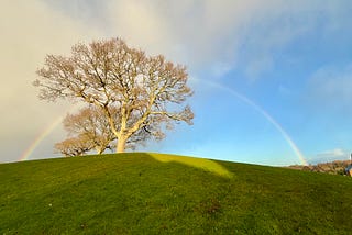 A rainbow frames a tree standing tall on a green hill. In the background, the sky is half covered in gray clouds and half blue