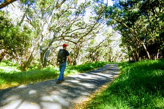 A senior solo traveler takes the path toward a realization of his dreams.