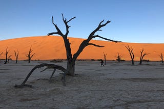 アフリカ旅 day9 (ナミビア)