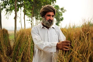 Why are Punjab Farmers Protesting?