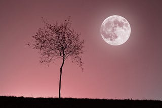 April Full Moon 2025: The Pink Moon Sets Easter Date 2025