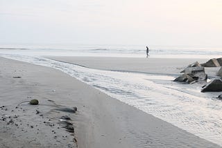 A Walk On The Beach