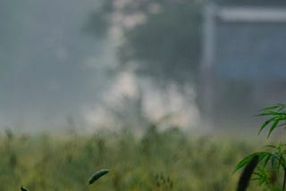 Reflections: Farmers’ Protests in India & Climate Justice