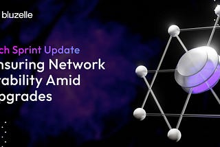 Bluzelle Bi-Weekly Sprint Update: Ensuring Network Stability Amid Upgrades- December 20, 2024