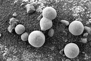 Did We Find Mushrooms on Mars?