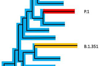 Phylogenetic tree, redrawn and simplified based on
 https://nextstrain.org/ncov/global