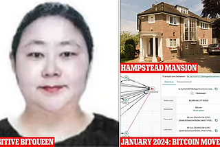 The background of the UK government seizing 61,000 Bitcoins from a Chinese fraudster