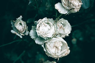 Depressed Saints and the Shame Around Mental Health in the Church