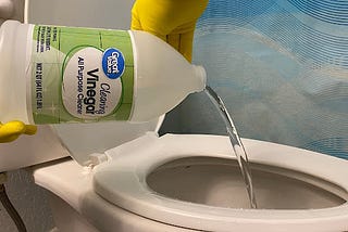 Put a vinegar rag in the toilet and watch the magic!