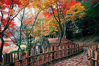Autumn colors in Ritsurin Park, Takamatsu, Japan