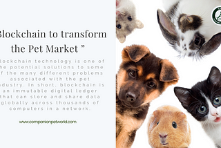 Blockchain to transform the Pet Market