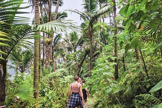 How to Puerto Rico — Rainforest