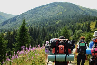 Embracing Nature: A Glimpse of Wildlife on the Trail