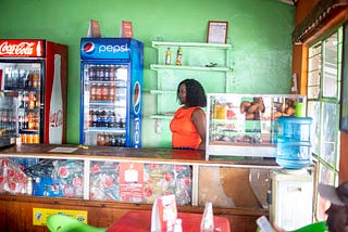 Invisible by Design: Who Gets Left Out of Algorithmic Financial Inclusion?