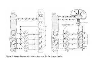 A diagram comparing a cybernetic control system to the human body, showing a 1-to-1 correspondence between elements of the control system and the human biological systems and their control centers in the nervous system.