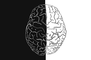 A black-and-white, left/right bisection of the human brain