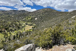 Enjoying Nevada’s Summer Greens