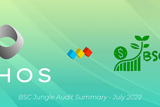 Ethos Audit — BSCJungle