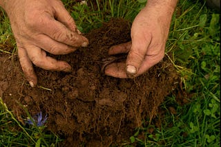 Restoring the Soil Carbon Sponge: