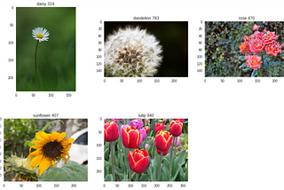 Three models for Kaggle’s “Flowers Recognition” Dataset