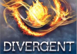 4 books that Divergent fans will LOVE