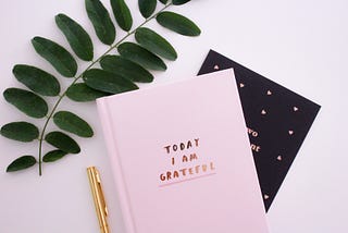 A pink journal rests on top of a black journal. A plant and golden pen are placed on the side.