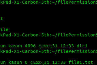 Demystifying Linux 101: File System and the permission conflict.