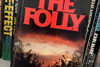 The Folly by David Anne