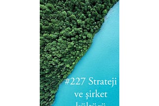 #227 Strateji ve şirket kültürü