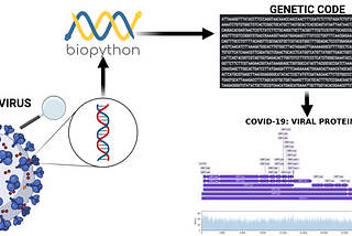 Covid-19 DNA Analysis With Biopython