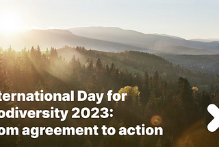 Building Back Biodiversity: Here’s How Companies are Taking Action