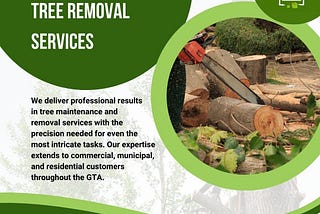 Professional Tree Removal By Five Star Tree Services