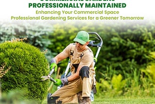Commercial Gardens Professionally Maintained In Auckland | Lawn Masters