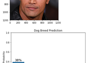 Dog Breed Classifier