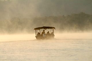 Musings of a Naturalist — misty morning safaris