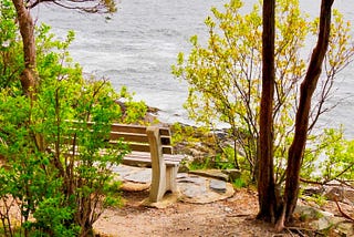 An empty wooden bench surrounded by three short trees sits on a ledge of soil overlooking a body of water.