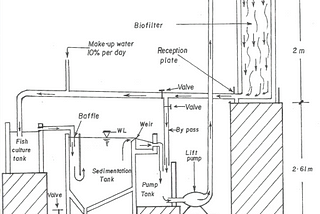 HOW TO DESIGN RECIRCULATING AQUACULTURE SYSTEM COMPONENTS.