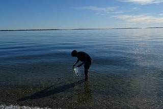 Seaweed Structures: An ‘Abundant’ Resource