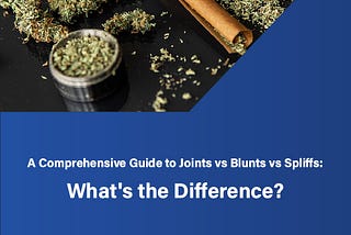 Guide To Joints Vs Blunts Vs Spliffs And Difference