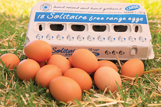 Cracking the Code to Sustainable Hospitality: Why Hotel Verde Chooses Solitaire Free Range Eggs