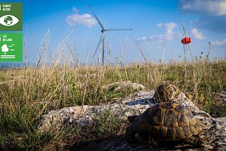 ENEL lanza desafío de innovación abierta para buscar innovaciones en biodiversidad para mejorar la…