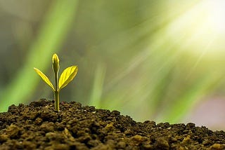 What is the Best Investment into Better Health?